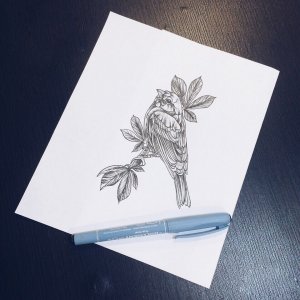 柯先生麻雀纹身手稿