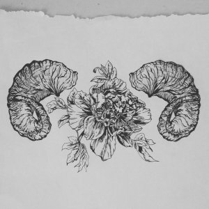 容先生牡丹羊头骨纹身手稿