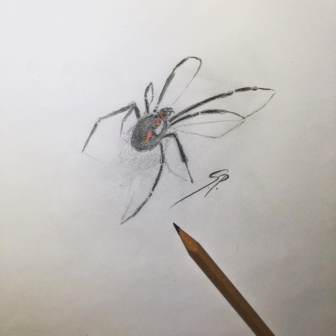做瑜伽教练的双先生蜘蛛纹身手稿